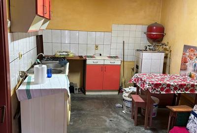 Casa de vanzare Variasu Mare- pret redus- 36.500 euro - 8