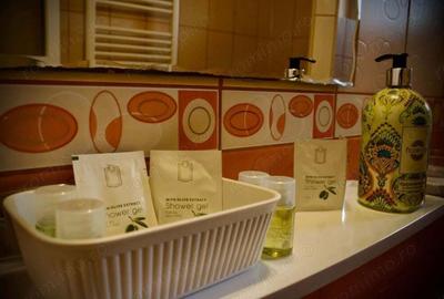 Vanzare etaj pensiune - 2