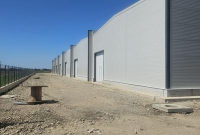Spațiu industrial, de 535 mp, în Petrăchioaia - 11