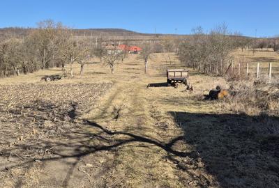 Casă cu 4 camere în Aghireșu - 4