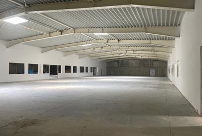 Hala de vanzare, situata in Sanandrei, judetul Timis - 10