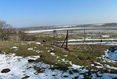 Teren de 1440 mp, în Murani - 5