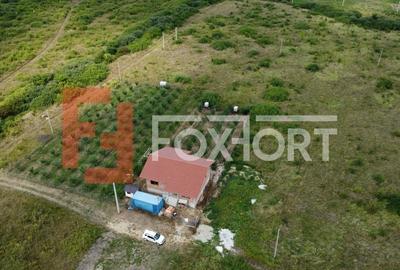 COMISION 0% Casa individuala cu 3 camere si teren de 752 mp -  Mosnita - 7