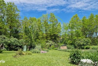 Casă cu 3 camere decomandat cu Teren 1000 Mp în Căianu - 8