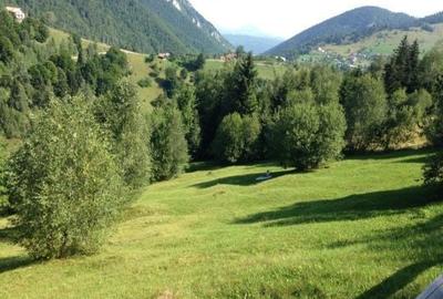 Spațiu comercial, în Peștera - 4