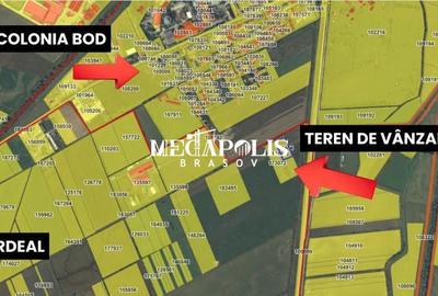 Teren de 500 mp, în Bod - 2