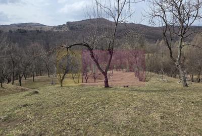 Teren Construcții intravilan de 2220 mp, în Valea Doftanei - 3