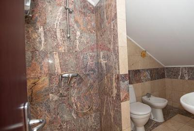 Casa 9 camere de vanzare 1200mp teren Cornetu Padure Lac Mihailesti - 32