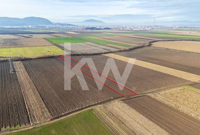 Teren extravilan in Sacele-3500mp, Comision cumparator 0% - 4