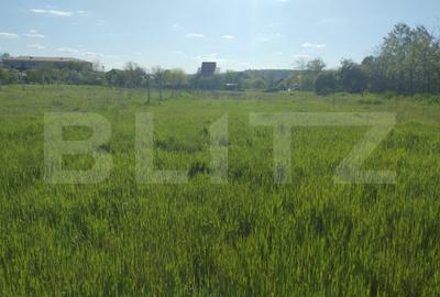 Teren de 2194 mp, în Mofleni - 1