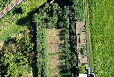 Teren 1594 mp intravilan - Suceava - Scheia! - 1