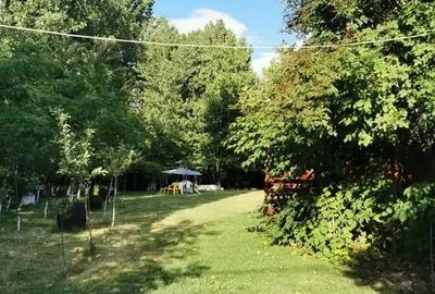 Teren in Contesti, Dambovita - 4