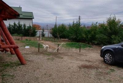 Casă cu 3 camere cu Teren 812 Mp în Seciu - 2