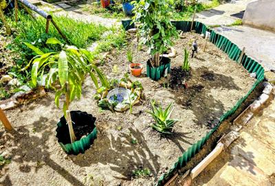 Apartament cu 1 cameră, zona Bălcescu, spațios, cu grădină - 10