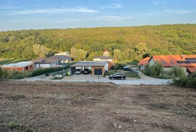 Teren de 800 mp, în Săldăbagiu de Munte - 5