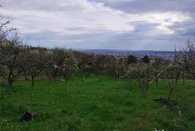 Teren de 1000 mp, în Dealuri Oradea - 2