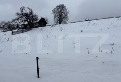 Teren intravilan de vanzare, 2000 mp, in Co?na, Podul Co? - 1