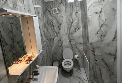 De inchiriat apartament 2 camere Torontalului complex Campeador City - 7