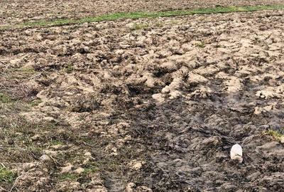 Teren agricol extravilan de 5000 mp, în Vărăști - 5