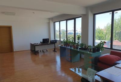 Zona Est - A2 - Pantelimon - sos Centura spatiu depozitare,logistic, ISU clasa C - 4