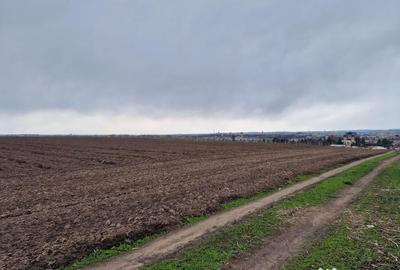 Teren de 10000 mp, în Vest - 10