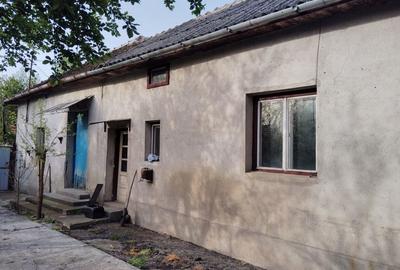 Casă cu 3 camere în Mișca - 8