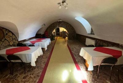 Afacere la cheie in Siret!! Pensiune, Sala evenimente, Restaurant cu crama!! - 5