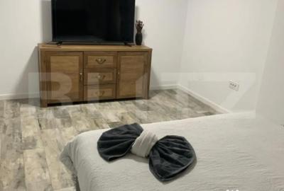 Apartament cu 3 camere decomandat în Victoria - 3