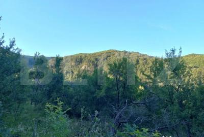 Teren în Vințu de Jos - 3