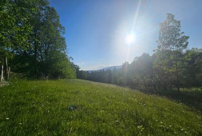 TEREN DE VANZARE APROAPE DE PADURE - 5