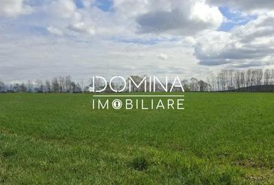 Teren de 20386 mp, în Câlnic - 2