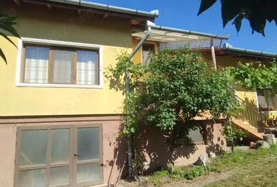 Casă cu 3 camere cu Teren 398 Mp în Lipoveni - 10