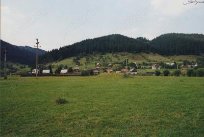 Teren de 7000 mp, în Lunca - 4