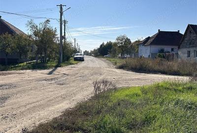 Teren de 22000 mp, în Livada - 3