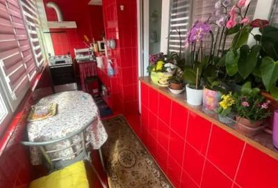 Apartament cu 3 camere decomandat, mobilat în Valea Rosie - 8