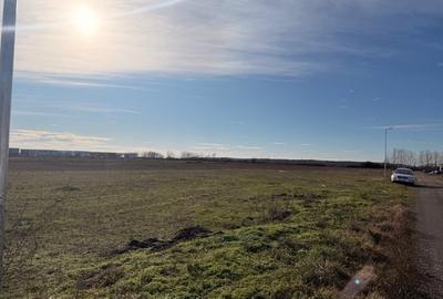 Teren Construcții intravilan de 6196 mp, în Bucovăț (Remetea Mare) - 2