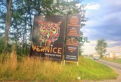 Teren agricol intravilan de 18000 mp, în Periferie