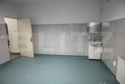 Spațiu comercial, de 50 mp, în George Enescu - 7