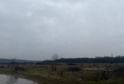 Teren agricol extravilan de 5000 mp, în Brestei - 5