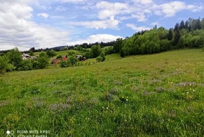 TEREN INTRAVILAN 4000 MP DE VANZARE - VATRA DORNEI - 9