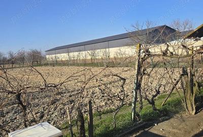 Casă cu 3 camere cu Teren 1800 Mp în Drăgoiești - 3