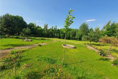 Teren Construcții intravilan de 900 mp, în Săcel - 5