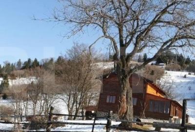 Teren de 7300 mp, în Central - 1