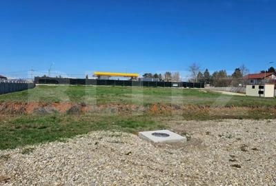 Teren de 1926 mp, în Priseaca - 9