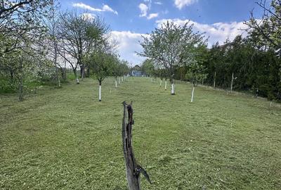 Casă cu Teren 1201 Mp în Călinești - 4