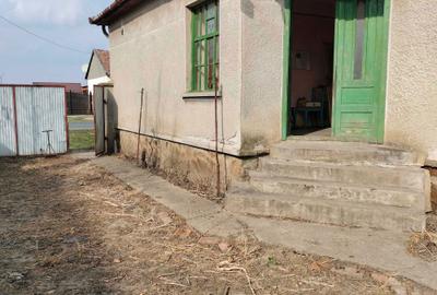 Casă cu 3 camere în Variașu Mic - 5
