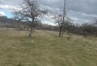 Spațiu comercial, în Voila - 5