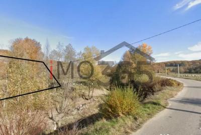 Teren de 150000 mp, în Mihăești - 2