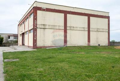 Oportunitate de investitie-vanzare spatiu industrial 6500mp, Cernica - 4