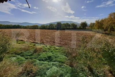 Teren Intravilan de 19000 mp, Ocna Mures - 3